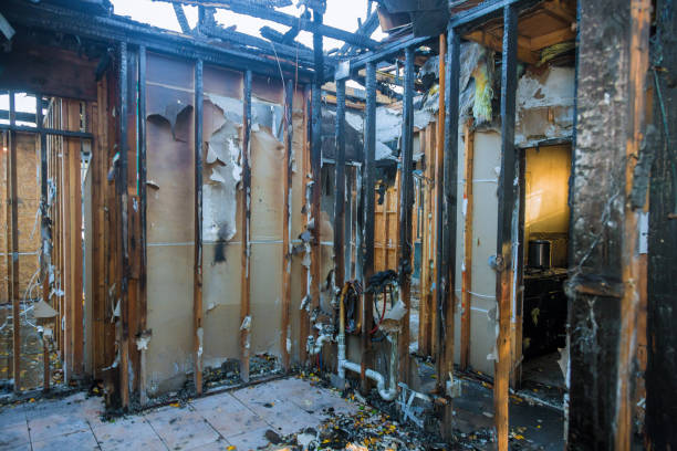 Professional Fire Damage Removal technician working in Newport, MN