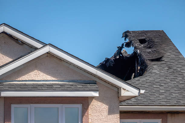 Top rated local Fire Damage Removal specialists in Newport, MN